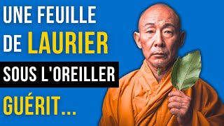 5 Effets Surprenants sur le Cerveau en Mettant du Laurier sous lOreiller  Histoire Zen de Santé [upl. by Micki]