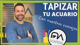 Cómo tapizar un acuario siguiendo nuestros consejos 🏅🔥 [upl. by Hescock]