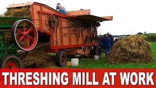 Threshing the Harvest 1960s Style in Ireland using Vintage Fordson Major Tractors [upl. by Akimad972]