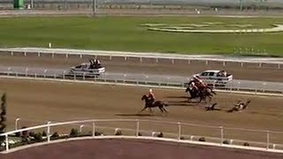 Turkmen president falls during horse race [upl. by Berliner]