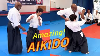 Amazing Aikido in the UK [upl. by Etnud943]