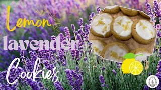 New Merch Drop How to Make Soft amp Chewy Lemon Lavender Cookies  Happy Bake Day [upl. by Nirre]