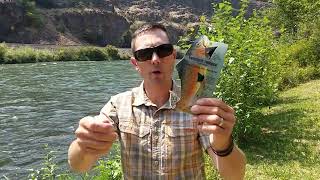 How to Properly Pinch a Barbed Hook on a Trout Fly [upl. by Etnovad]