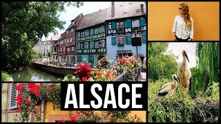 EXPLORING FRANCE Alsace Region  Strasbourg Colmar Riquewihr amp more [upl. by Osithe]