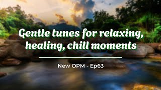 🕊️ Dodo Bird  🎶 Gentle tunes for relaxing healing chill moments  Ep63 [upl. by Eidahs]