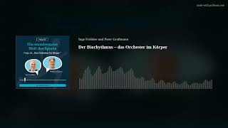 Der Biorhythmus – das Orchester im Körper [upl. by Yrrep957]