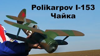 Polikarpov I153 Чайка  RC airplane  4K  2021 [upl. by Cinnamon]