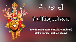 LIVE ਜੈ ਮਾਂ ਚਿੰਤਪੁਰਨੀ ਲੰਗਰ Maan amp Malhi family Kala Sanghian Mallian khurd [upl. by Theressa]