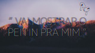 AUDIO 8D Vai Mostrar O Peitin Pra Mim Empina Esse Rabetão  Formosa USE FONES [upl. by Ydoj]