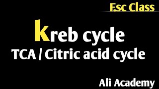 Kreb cycle  Citric acid cycle  Class 11 Biology [upl. by Aihsekal182]