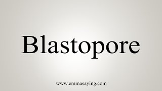 How To Say Blastopore [upl. by Mundt308]