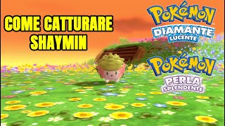 COME OTTENERE SHAYMIN CON IL GLITCH VOLO  SURF IN POKÉMON DIAMANTE LUCENTE E PERLA SPLENDENTE [upl. by Itsrejk]