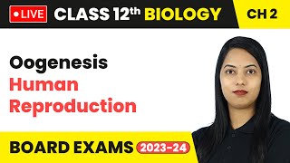 Oogenesis  Human Reproduction  Class 12 Biology Chapter 2  LIVE [upl. by Deedee147]