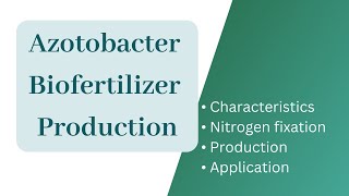 Azotobacter biofertilizer productionAzotobacter Nitrogen fixationApplication of Azotobacter [upl. by Jeggar]