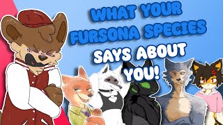 What Your FURSONAS SPECIES Says About You [upl. by Adelle]