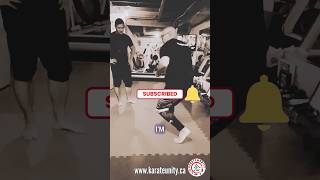 Kali Meets Karate A Stance Comparison kali karate martialarts [upl. by Ytirev]