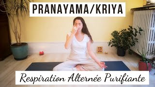 PRANAYAMA  Nadi Shodhana  Respiration alternée purificatrice  10 minutes [upl. by Anirtek]