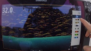 Fish Reveal FIRST LOOK Quick SetUp Simrad  Lowrance [upl. by Nodanrb259]