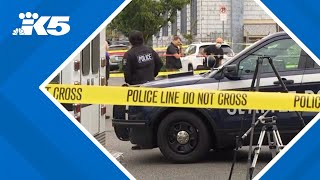 Seattle police investigating vehicular homicide in Lake City [upl. by Danita357]