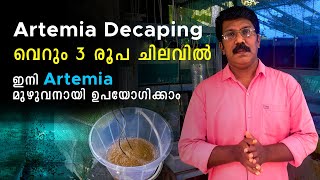 Artemia decaping വെറും 3 രൂപ ചിലവിൽ  Artemia Decapsulation method Malayalam  Pearl Aqua Farm [upl. by Woodson487]