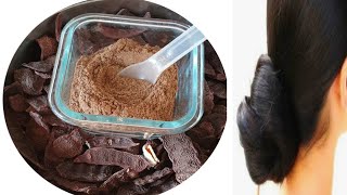 how to make shikakai powder at home शिकेकाई पावडर घरपर कैसे बनाये [upl. by Rabkin87]