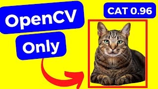 Object Detection using OpenCV python  Single Shot Detector SSD for Images in Google Colab cv2 [upl. by Halehs]