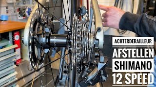 Achterderailleur afstellen Shimano 12 speed DI2 105 Ultegra en DuraAce  Dit moet je weten [upl. by Raines]