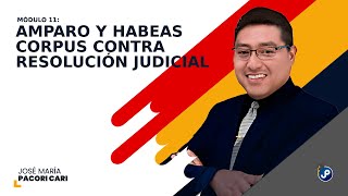 Amparo y habeas corpus contra resolución judicial  Dr José María Pacori Cari [upl. by Kcirej107]