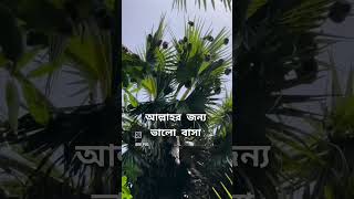 আল্লাহর জন্য ভালোবাসা। [upl. by Baillie]