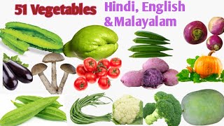 Learn 51 Vegetable Names in Hindi English amp Malayalam  Name of Vegetables in three Languages [upl. by Asilad403]