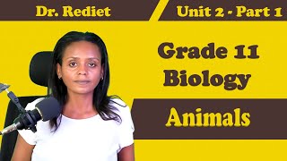 Grade 11 Biology Unit 2 Animals Part 1  Dr Rediet [upl. by Derina]