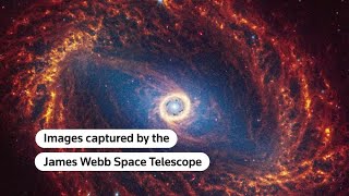 Webb telescope captures images of 19 spiral galaxies  REUTERS [upl. by Ntisuj]