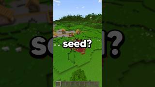 BEST BEDROCK 121 SEED shorts [upl. by Boorman]