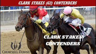 2023 Clark Stakes Contenders amp Picks [upl. by Kalinda]