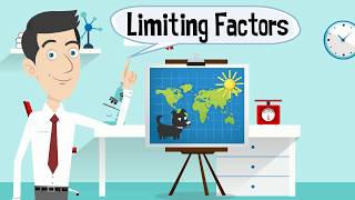 Limiting Factors in an Ecosystem [upl. by Nail]