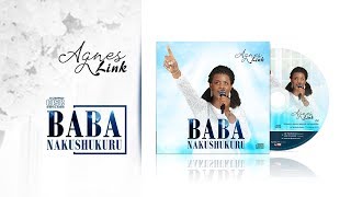 Agnes Link  BABA NAKUSHUKURU Official Audio  New Gospel Songs 2019 [upl. by Shepley]