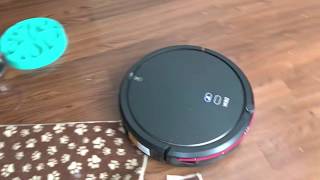 DEIK Robotic Vacuum [upl. by Eiromem]