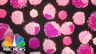 How Flu Strains Get Their Names  NBC News [upl. by Sheri]