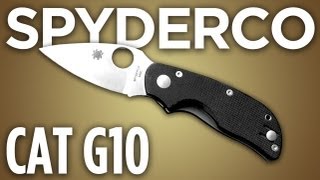 Spyderco Cat G10 Knife Review 24 oz Gettin it Done [upl. by Iruy847]