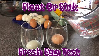 How To Tell If A Egg Is Bad Or GoodSink Or Float Bad Egg Test [upl. by Carberry]