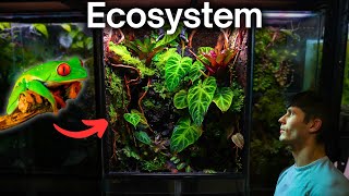 I Made a Jungle Terrarium For a Tiny Frog Here’s How [upl. by Karim]