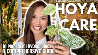 HOYA CARE in PON and SemiHydroponics A Comprehensive Guide 🌿 [upl. by Rhyner]