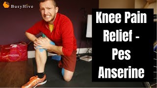 Knee Pain  4 steps how to treatment Pes Anserine [upl. by Murray]