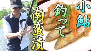 小鮎釣って食べる！南蛮漬け。うまいぞ！ まずまず大漁５０匹！ 小鮎釣り。コアユ入れ食い爆釣。鮎の餌釣り。川の小物釣り64。 簡単、小鮎料理。小物釣り 琵琶湖 River Fishing [upl. by Erik]