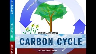 The Carbon Cycle amp Global Warming Video [upl. by Abby]