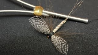 Spent Mayfly with Wally wing dry fly [upl. by Intyre]