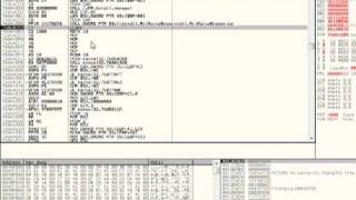 Ollydbg Tutorial 7 [upl. by Benton]