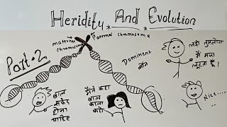 heredity and evolution class 10 part 2 GKP  class 10 science chapter 9 heredity and evolution [upl. by Scribner273]