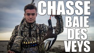 Chasse  LAventure en Baie des Veys  Canards et Limicoles   Partie 1  Marius Chasse [upl. by Wendalyn441]