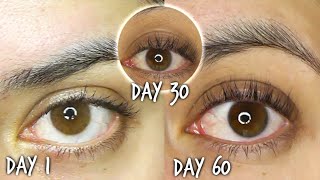 60 Days Using Castor Oil For Eyelash Growth Results WITH ROSEMARY [upl. by Anilave]